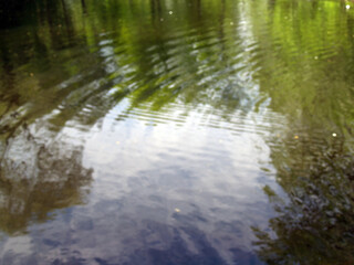 Surface of pond with trees reflection