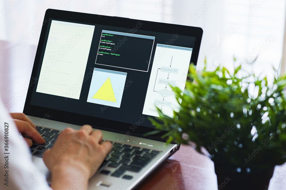 Wall mural japanese senior woman engineer debugging source code on remote work