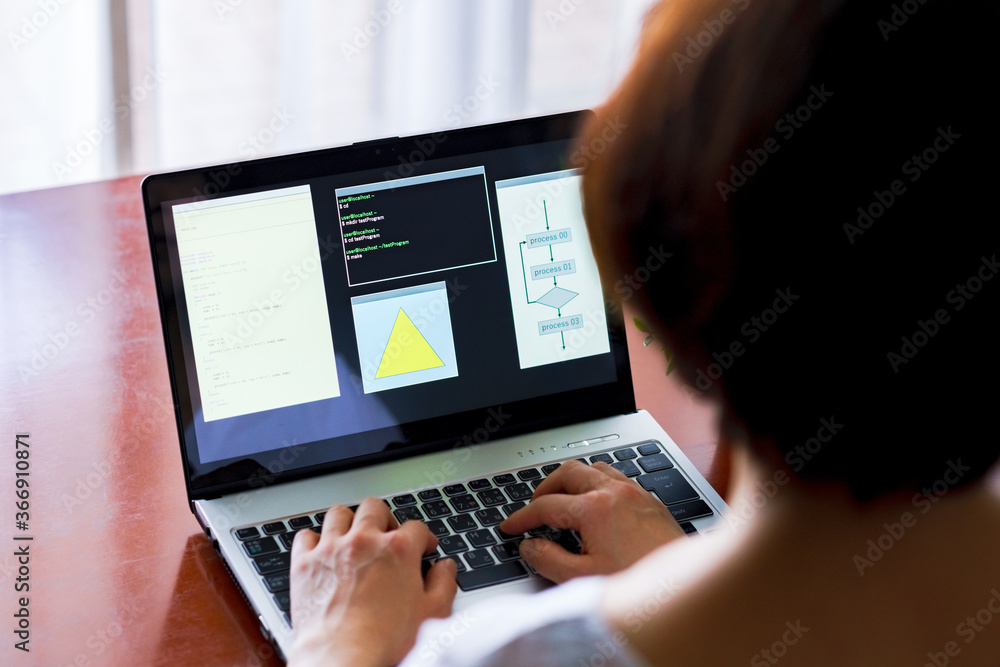 Wall mural japanese senior woman engineer debugging source code on remote work