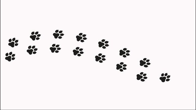 Animal paw footprint, appearing tracks, walking trace, graphic animation