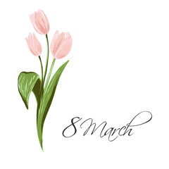 8 march lettering and pink tulips. Spring floral background print with blossom vector flowers. Simple digital watercolor drawing. Abstract illustration. Vintage graphic design.