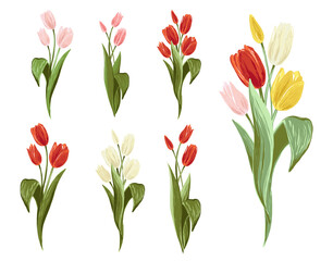 Colorful tulip bouquet, pink, yellow, white, red colors. Spring floral isolated elements on white background. Blossom vector flowers. Digital watercolor illustration. Vintage graphic design elements. - obrazy, fototapety, plakaty