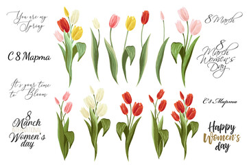 International women day text in russian, 8 march lettering, and colorful tulip bouquet. Spring floral elements. Set of blossom vector flowers. Simple digital watercolor illustration. Vintage graphic