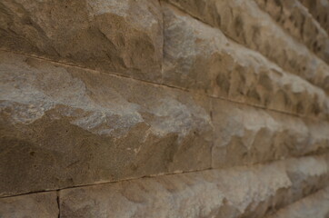 A wall of concrete. Graphic design.Plant. . Urban style. Tbilisi, July 2020 / Brick