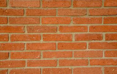 A wall of concrete. Graphic design.Plant. Nature. Urban style. Tbilisi, July 2020 / Brick