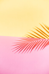 Tropical shadow of palm leaf branch over pink and yellow paper background. Summer theme concept
