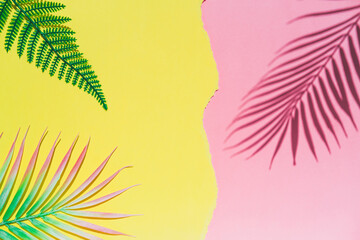 Fototapeta na wymiar Tropical fern and palm leaves branches with shadows over pink and yellow torn paper background. Summer theme concept