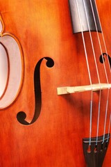 the central part of the double bass