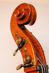 the upper part of the double bass