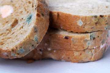 mold on bread close up
