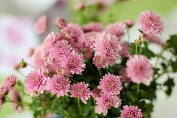 close up of pink flowers