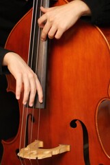 musician playing double bass