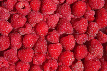 Ripe raspberries. Summer and healthy food concept. Top view or flat lay.