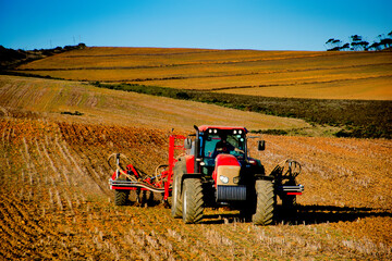 Obraz premium Farm Tractor preparing fields for plating canola