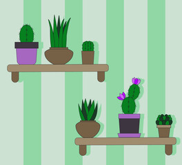 Vector illustration. The choice of images. Cacti in pots. Houseplant. Shelves with flower pots. Interior item.