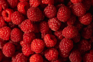 Red Raspberry background, ripe fresh organic raspberries, macro shot close up.