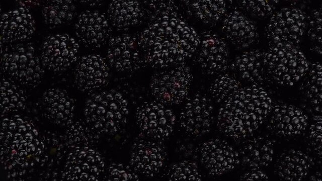 blackberry close up rotating. Fresh Ripe organic blackberries rotation backdrop close-up. bio blackberries top view, flat lay background. Macro shot