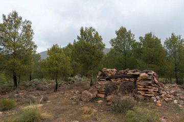 Obraz premium small stone construction surrounded by pine trees