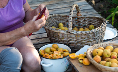 Obraz na płótnie Canvas Woman sitting in the garden removes the pits from the apricot for making jam