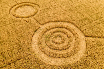 Fototapeta na wymiar Fake UFO circles on grain crop yellow field, aerial view from drone.