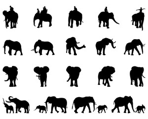 Black silhouettes of elephants on a white background