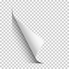 Vector page lower left curl with shadow on blank transparent sheet of paper