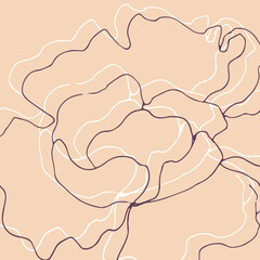 Minimalism card floral art design. Delicate vintage poster