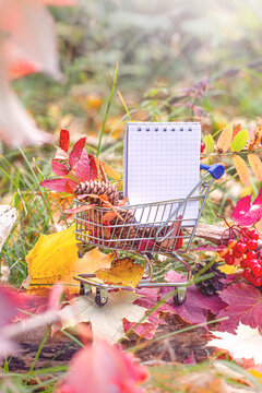 Halloween and Thanksgiving concept, autumn sales. Fall season. maple leaves, berries and notebook in supermarket trolley. Autumn season image style.