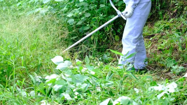 大きく伸びた雑草を草刈り機で刈る男性