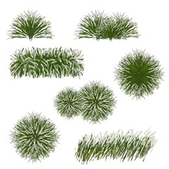 Set of watercolor tree top view for landscape plan and architecture layout