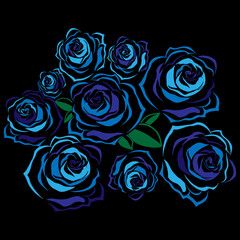 Bouquet of roses on a black background. Vector illustration of a bouquet of blue roses.  Hand drawn blue roses.