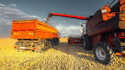 Harvesting grain in the field. Unloading of grain from a combine harvester to a grain carrier.