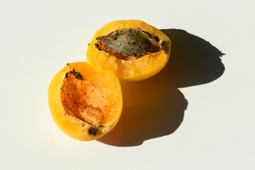 Worm in apricot on white background