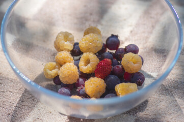 Glass bowl with summer berries, healthy breakfast on brown picnic blanket in sunlight