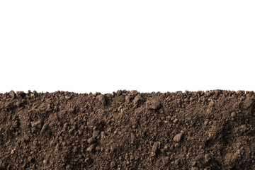 Loam for planting on a completely white backdrop.