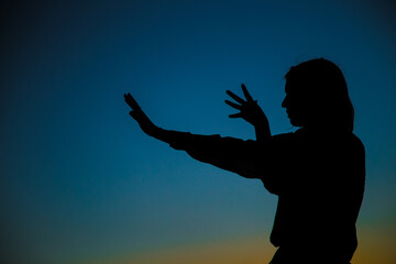 Femalе silhouette and sunset background