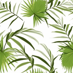 Illustration with palm leaves. Beautiful seamless background with tropical plants on white. 