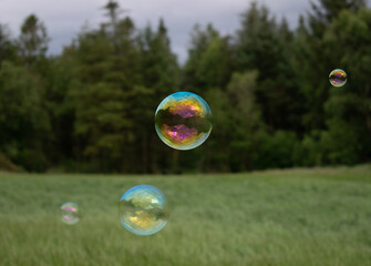 Bubbles floating in the forest