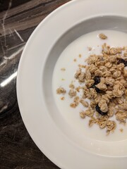 bowl of Greek yogurt with healthy granola