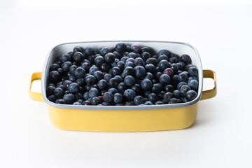 採りたてのブルーベリー