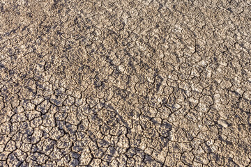 Sol sec craquelé 