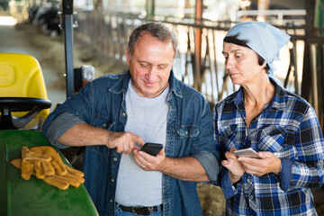 couple adult farmers are standing with phones near cows at the farm outdoors