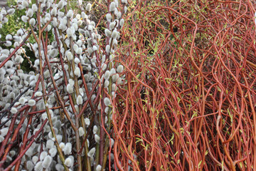 close up of fishing net
