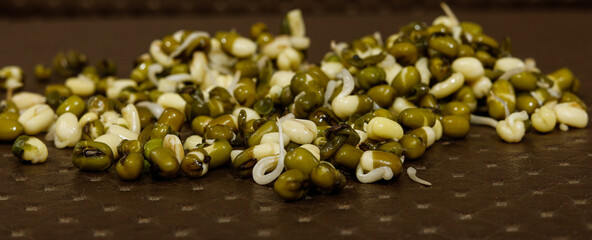 healthy sprouts in blurred background