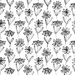 Fototapeta na wymiar Brush flower vector seamless pattern. Hand drawn botanical ink illustration with floral motif. Chamomile or daisy painted by brush. Hand drawn black print for fabric, wrapping paper, wallpaper design