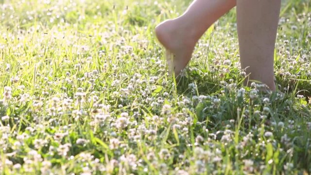 Feet of a woman walking barefoot on the grass
