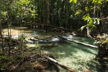 Stream in a natural area at Emerals Pool, east of Krabi in southern Thailand.