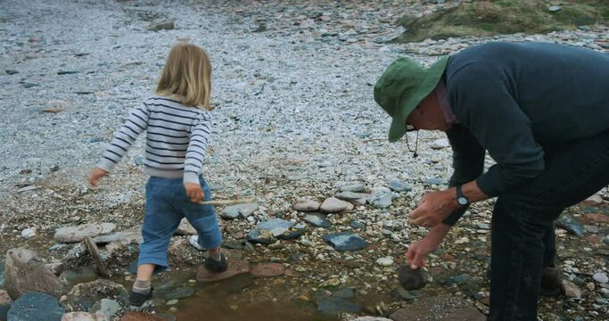 Preschooler and his grandfather playing with rocks on beach