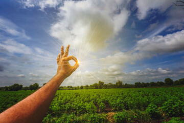 ok hand gesture in front of blue cloudy sky and green cotton field