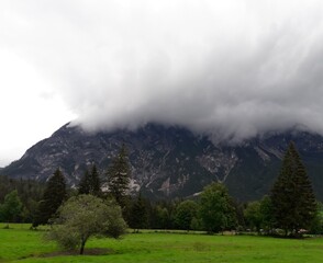 Large cloud covering mountains with trees in the foreground 